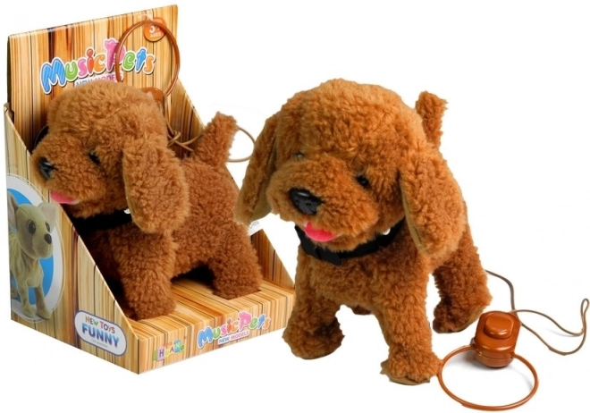 Interactieve Hond Hond aan de Leash Bruine Poedel