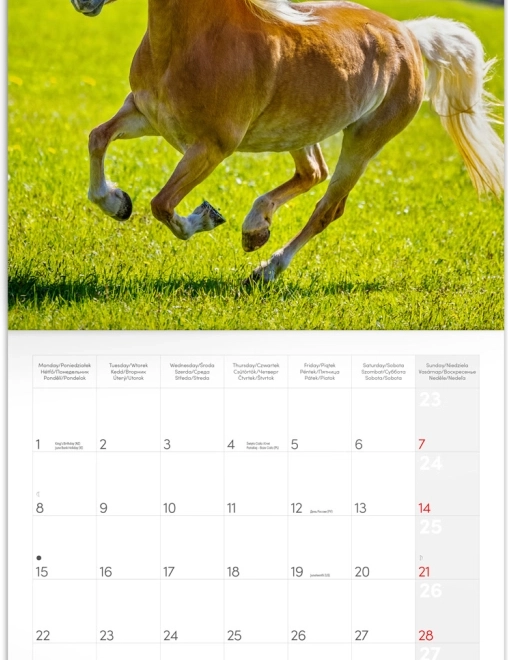Notitiekalender Paarden Christiane Slawik 2026