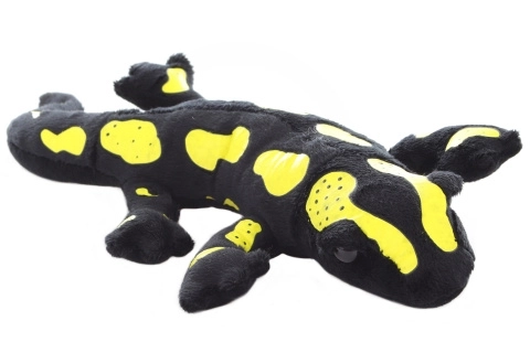 Pluchen salamander
