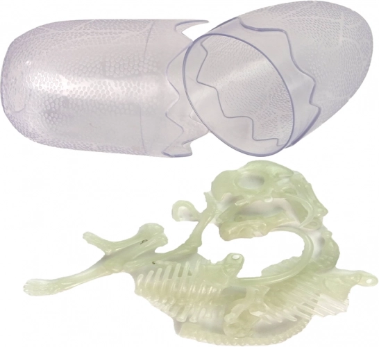 Gedetailleerde anatomie