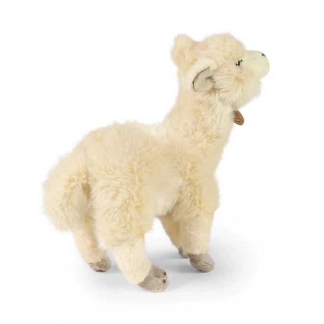 Rappa Pluche lama Alpaca staand 23 cm ECO-VRIENDELIJK