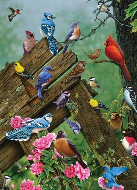 Puzzel Bosvogels 1000 Stukjes Cobble Hill