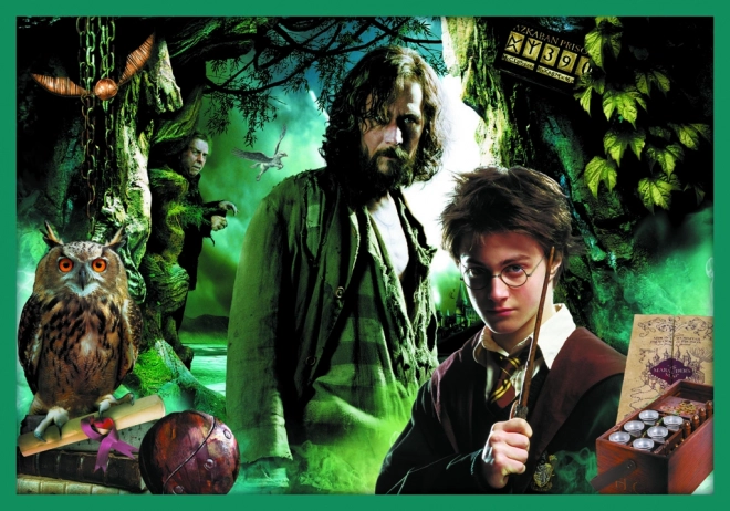 Puzzel Harry Potter - In de wereld van Harry Potter 10-in-1