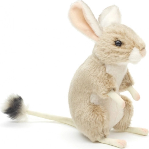 Realistische details van de jerboa