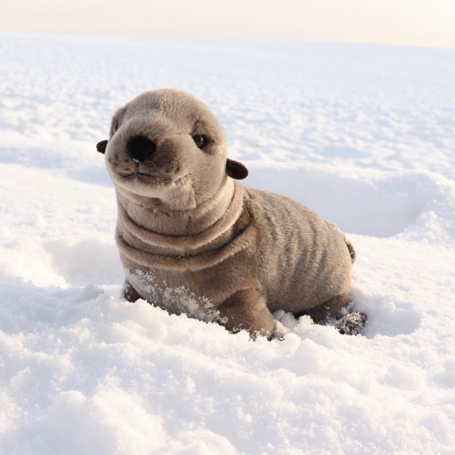Pluchen zeehond 25 cm ECO-VRIENDELIJK