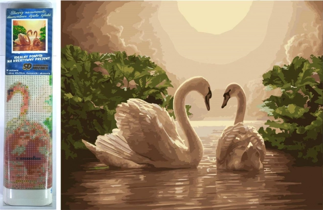 diamond painting Zwanenzang 30 × 40 cm