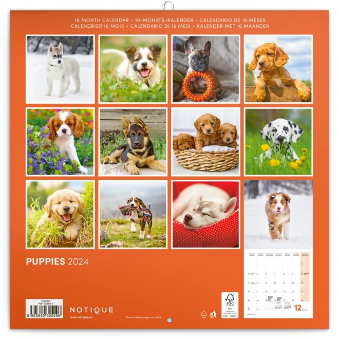 Notitie Kalender Puppy’s 2024
