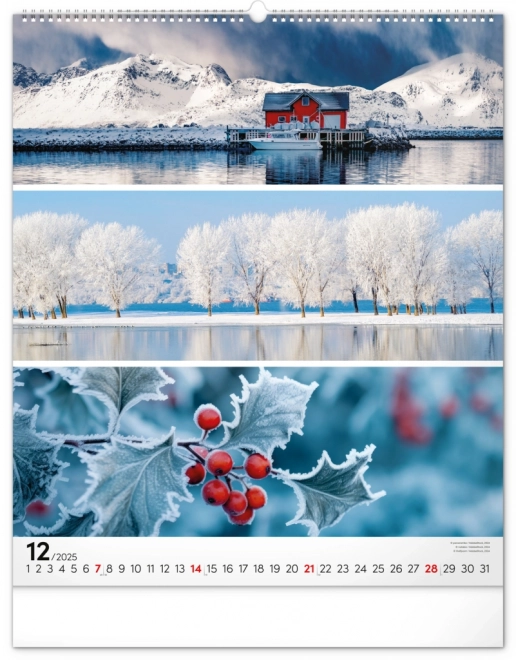 NOTIQUE Muurkalender Palet 2025, 48 x 56 cm