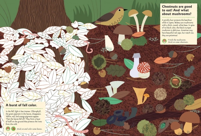 Chronicle Books Activiteitenboek met stickers mijn natuur In het bos