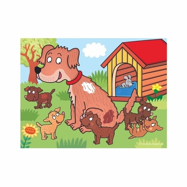 Blokken kubussen huisdieren hout 12st in doosje 21x18x4cm