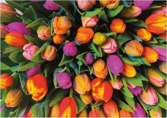 Piatnik legpuzzel Tulpen 1000 stukjes