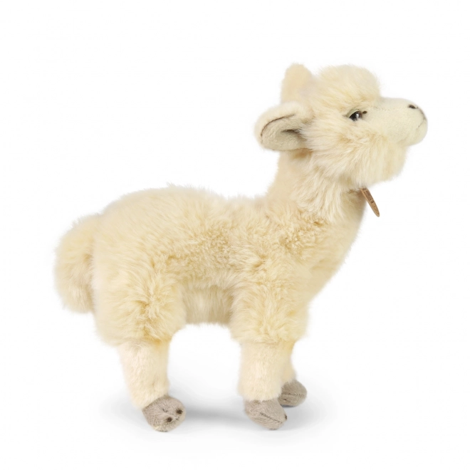 Rappa Pluche lama Alpaca staand 23 cm ECO-VRIENDELIJK