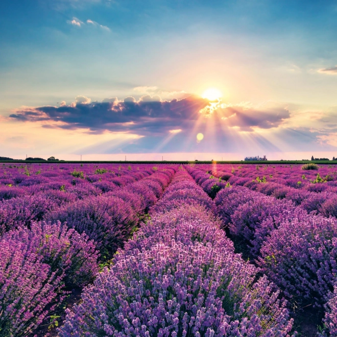 Notitiekalender Provence 2026