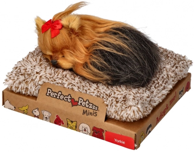 Perfecte kleine York puppy knuffel