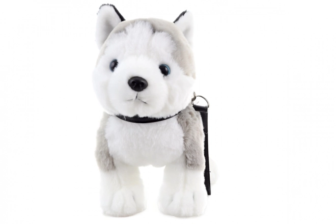 Pluche husky met riem