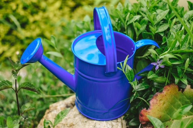Zacht water geven aan planten