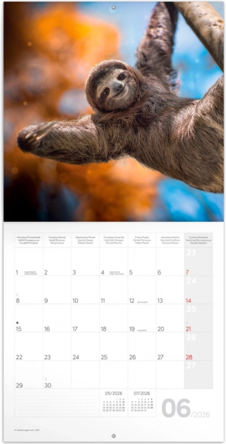 Notitiekalender Glimlach voor het jaar 2026