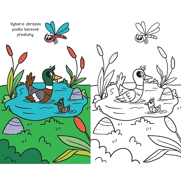 Mijn reis kleurboek Boerderij