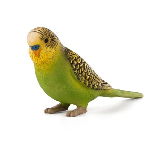 Mojo Parkiet