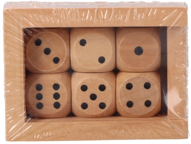 Houten dobbelstenen in doosje - GOKI