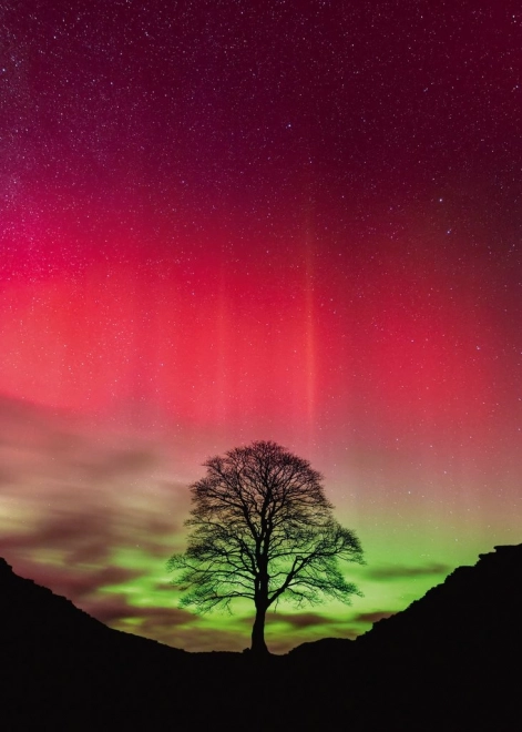 Puzzel Heye Kracht van de natuur: Sycamore Gap, 1000 stukjes