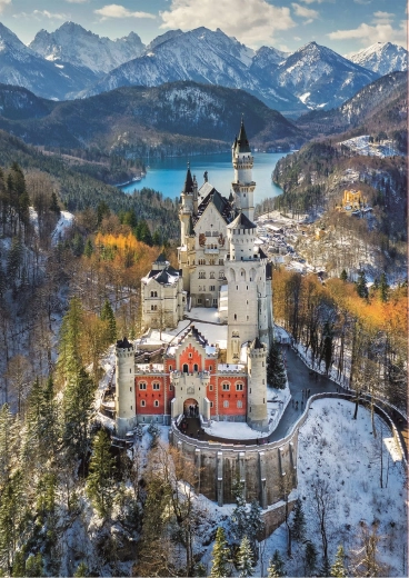 Educa puzzel Kasteel Neuschwanstein vanuit de lucht 1000 stukjes