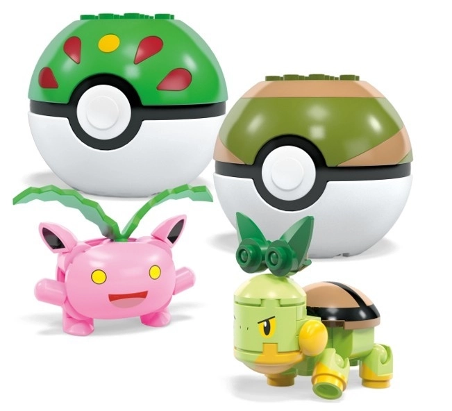 Bouwset Pokémon Gras Team