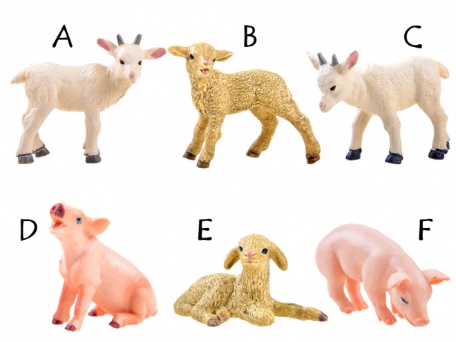 Schapen Geit Varken Huisdier ZA3384