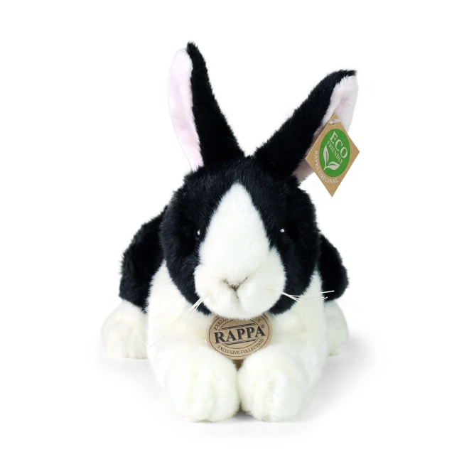 Exclusieve RAPPA‑collectie
