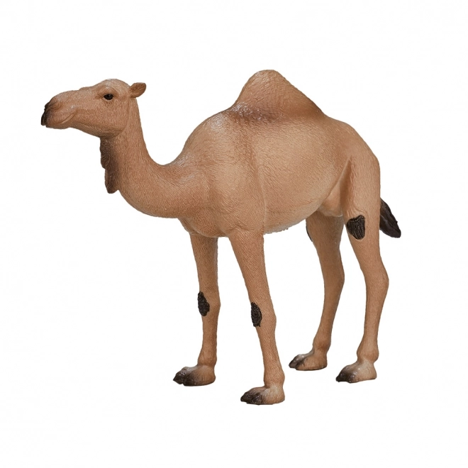 Mojo Animal Planet Dromedaris