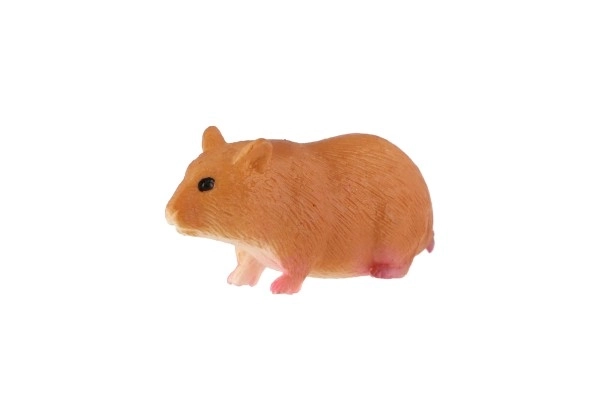 Cavia huishoudelijke zooted 6cm in zak