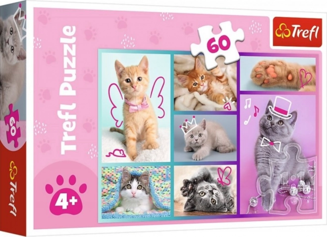 Puzzel 60 stukjes Lieve katjes