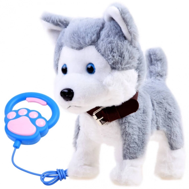 Interactieve husky hond aan een riem