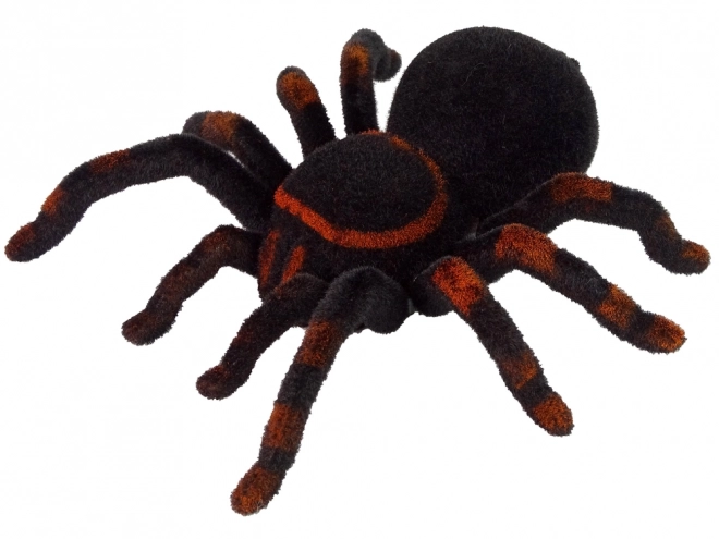 Leuk op afstand bestuurbare spin Tarantula