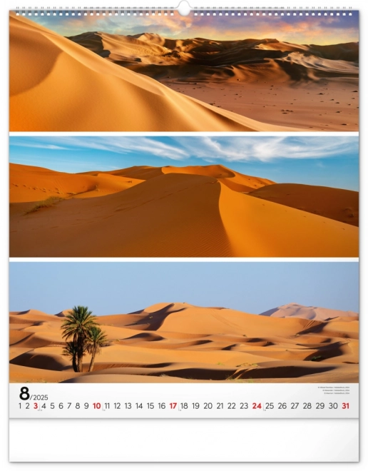 NOTIQUE Muurkalender Palet 2025, 48 x 56 cm