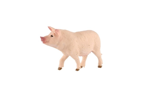 Varken huisdier zooted plastic 10cm in zak