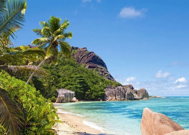 Puzzel Tropisch Strand Seychelles 3000 Stukken