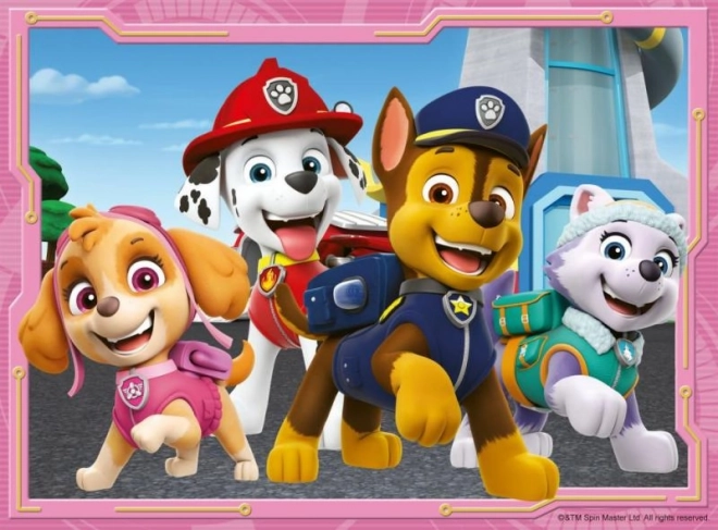 Paw Patrol 4 in 1