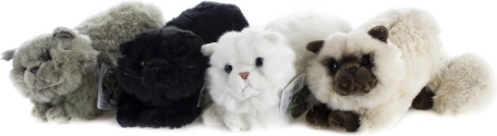 Pluchen kat 42 cm