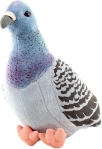 Pluchen duif ecologisch