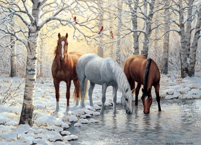 Puzzel Winter Trio van Cobble Hill 1000 stukjes