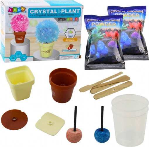 Educatieve set Magische kristallen boom kweken
