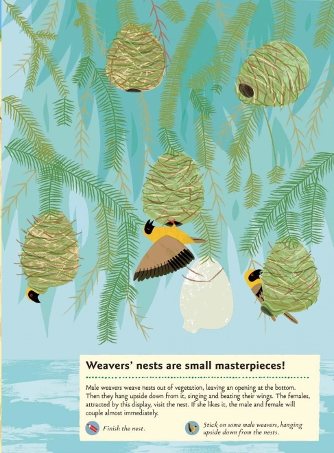 Activiteitenboek met stickers - Dieren van de savanne
