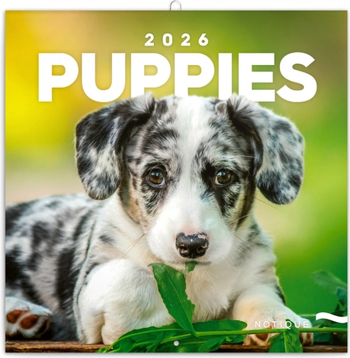 Notitiekalender Puppies 2026