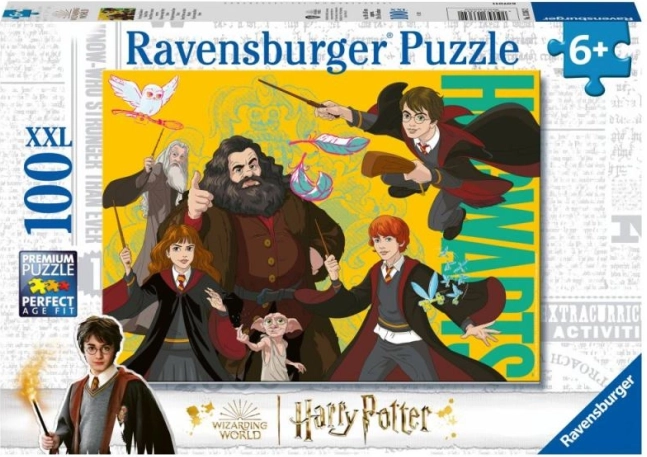 Harry Potter: jonge tovenaar puzzel 100 stukjes