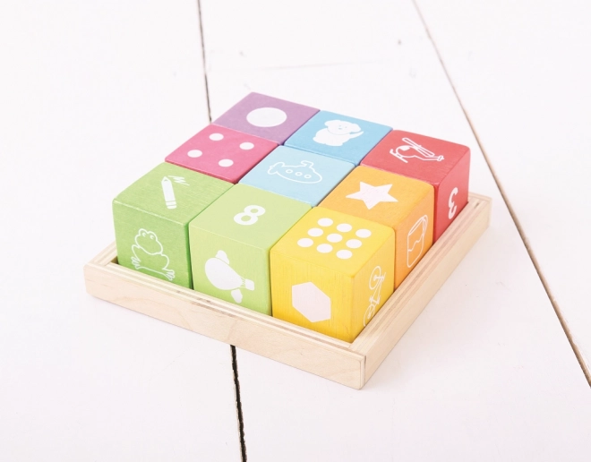 Houten blokken met afbeeldingen van Bigjigs Baby