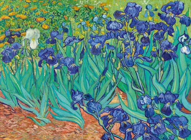 Puzzel Irissen (1889) 3000 stukjes BLUEBIRD