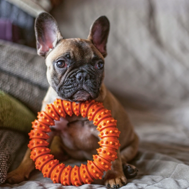 Notitie Kalender Puppy’s 2024