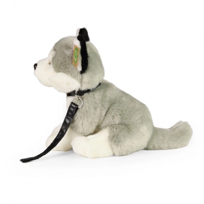 Pluche Husky hond met riem 28 cm van Rappa