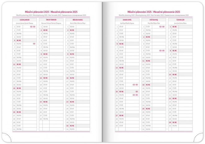 NOTIQUE Wekelijkse agenda Ajax 2025, groen, 15 x 21 cm